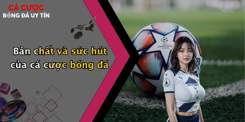 Bản chất và sức hút của cá cược bóng đá