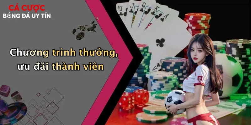 Chương trình thưởng, ưu đãi thành viên